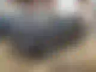 Vehicle Image- 2018 Subaru Forester