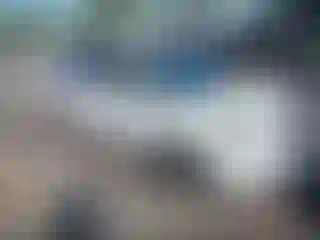 Vehicle Image- 2017 Subaru Forester