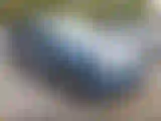 Vehicle Image- 2017 Subaru Forester