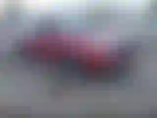 Vehicle Image- 2017 Subaru Forester