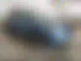 Vehicle Image- 2018 Subaru Forester