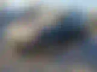 Vehicle Image- 2014 Subaru Forester