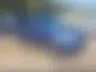 Vehicle Image- 2018 Subaru Forester