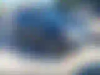 Vehicle Image- 2014 Subaru Forester