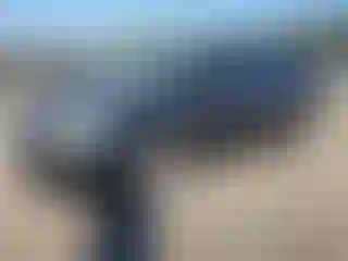 Vehicle Image- 2014 Subaru Forester