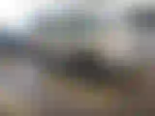 Vehicle Image- 2015 Subaru Forester