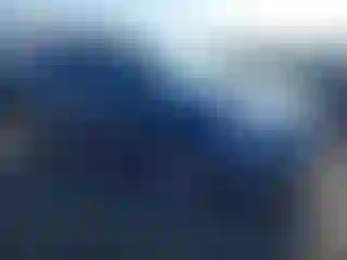 Vehicle Image- 2016 Subaru Forester