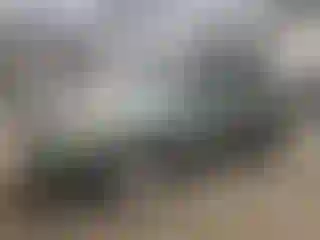 Vehicle Image- 2014 Subaru Forester