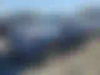 Vehicle Image- 2014 Subaru Forester