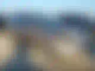 Vehicle Image- 2014 Subaru Forester