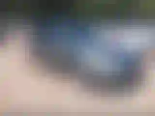 Vehicle Image- 2014 Subaru Forester