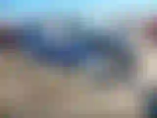 Vehicle Image- 2014 Subaru Forester