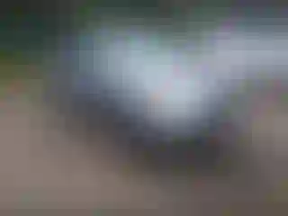 Vehicle Image- 2016 Subaru Forester