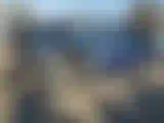 Vehicle Image- 2015 Subaru Forester