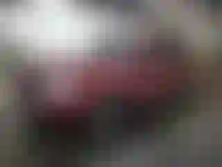 Vehicle Image- 2015 Subaru Forester