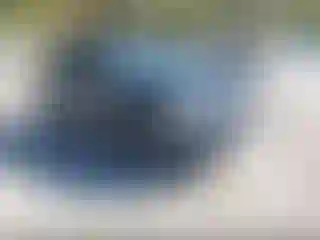 Vehicle Image- 2015 Subaru Forester