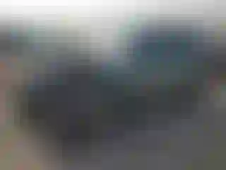 Vehicle Image- 2015 Subaru Forester