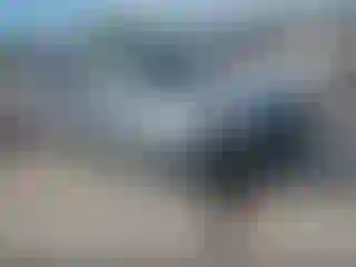 Vehicle Image- 2018 Subaru Forester