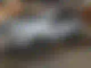 Vehicle Image- 2016 Subaru Forester