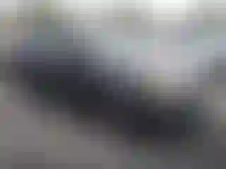 Vehicle Image- 2014 Subaru Forester