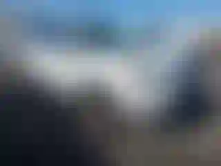 Vehicle Image- 2014 Subaru Forester