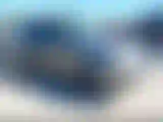 Vehicle Image- 2017 Subaru Forester