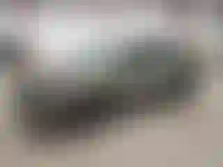 Vehicle Image- 2021 Subaru Forester