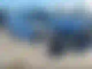 Vehicle Image- 2022 Subaru Forester