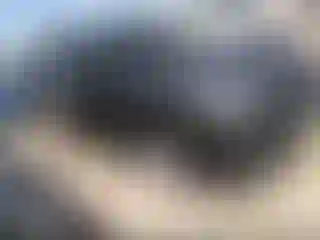 Vehicle Image- 2023 Subaru Forester