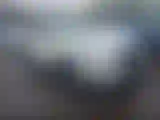 Vehicle Image- 2024 Subaru Forester