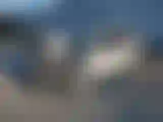 Vehicle Image- 2019 Subaru Forester