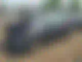 Vehicle Image- 2024 Subaru Forester