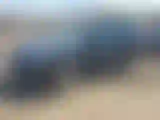 Vehicle Image- 2023 Subaru Forester
