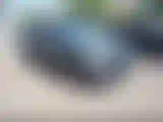 Vehicle Image- 2024 Subaru Forester