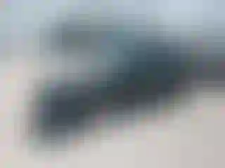 Vehicle Image- 2024 Subaru Forester
