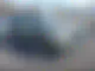 Vehicle Image- 2024 Subaru Forester