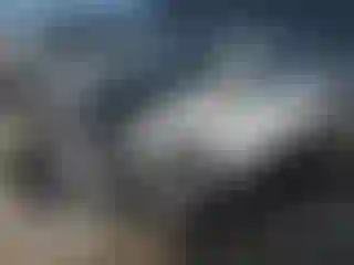 Vehicle Image- 2023 Subaru Forester