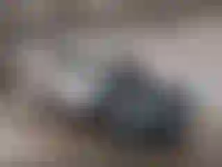 Vehicle Image- 2023 Subaru Forester