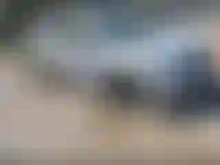 Vehicle Image- 2024 Subaru Forester