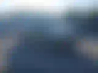 Vehicle Image- 2020 Subaru Forester