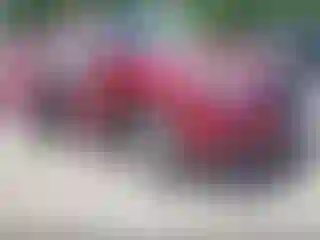 Vehicle Image- 2022 Subaru Forester