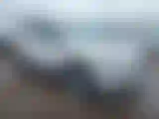 Vehicle Image- 2021 Subaru Forester