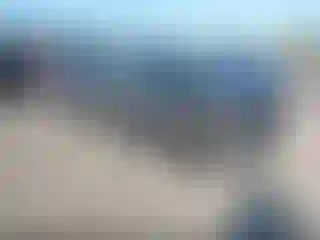 Vehicle Image- 2022 Subaru Forester