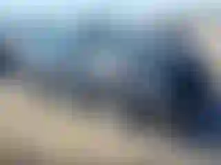 Vehicle Image- 2022 Subaru Forester