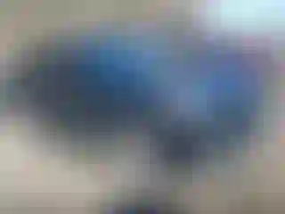 Vehicle Image- 2022 Subaru Forester