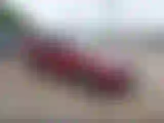 Vehicle Image- 2023 Subaru Forester