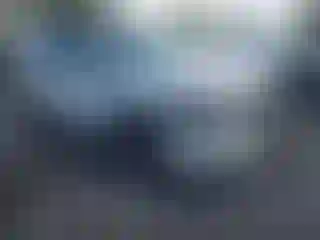 Vehicle Image- 2023 Subaru Forester