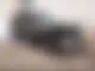 Vehicle Image- 2023 Subaru Forester