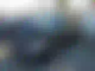 Vehicle Image- 2021 Subaru Forester