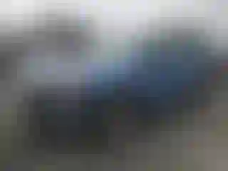 Vehicle Image- 2021 Subaru Forester